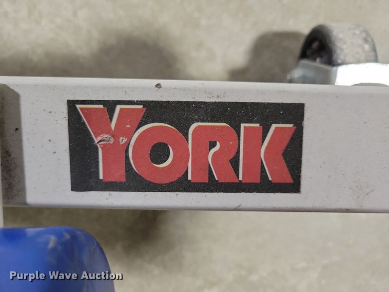 image for item IO9384 York  dumbbells