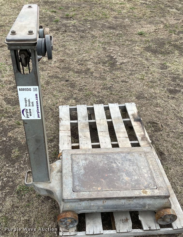 image for item DQ5809 Fairbanks  scale