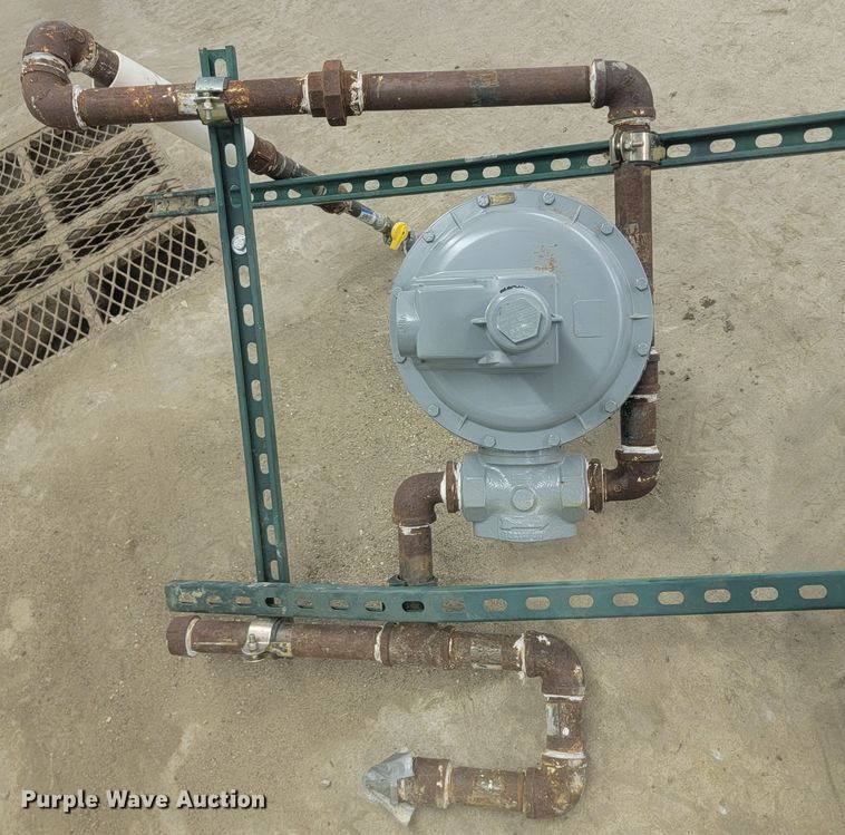 image for item LV9294 Generac RG04524GNSX  generator