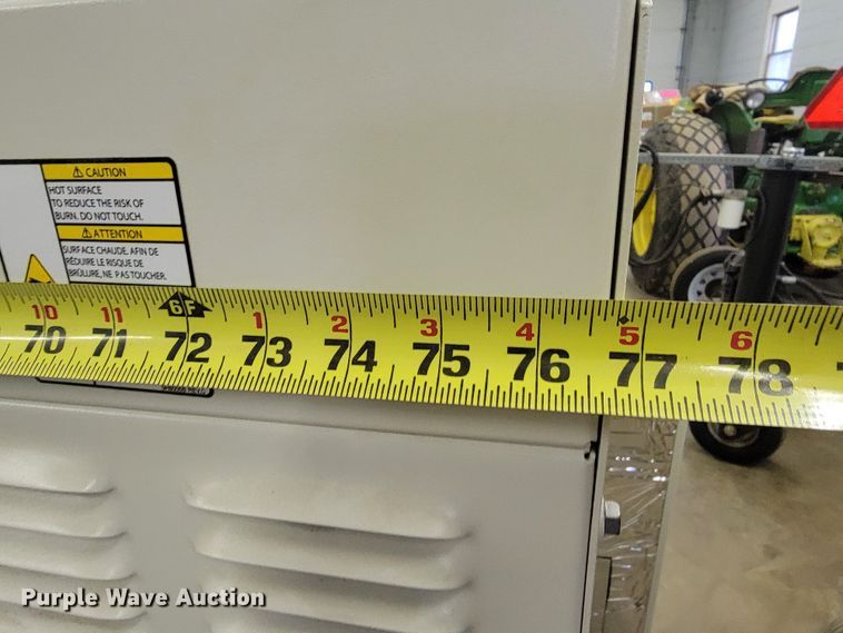 image for item LV9295 Generac RG04524ANSX  generator