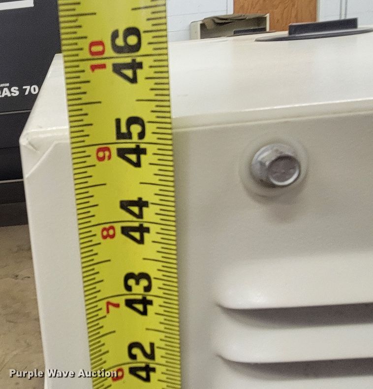 image for item LV9295 Generac RG04524ANSX  generator