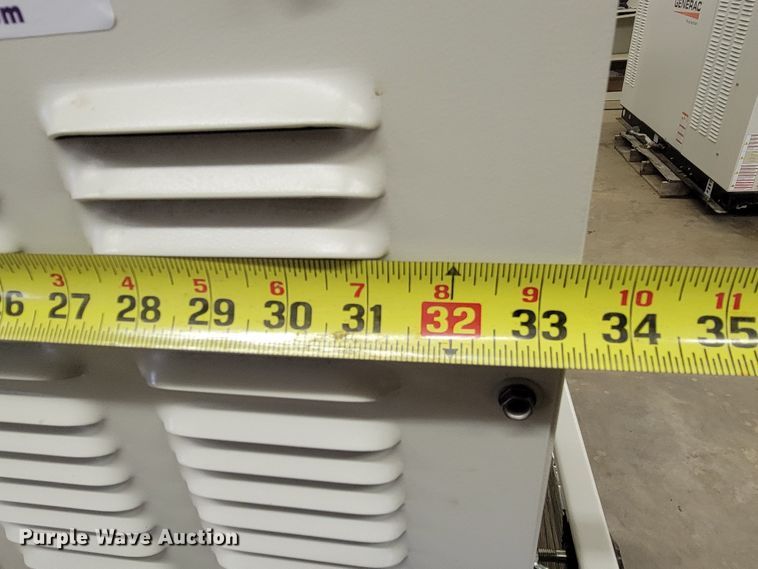 image for item LV9295 Generac RG04524ANSX  generator