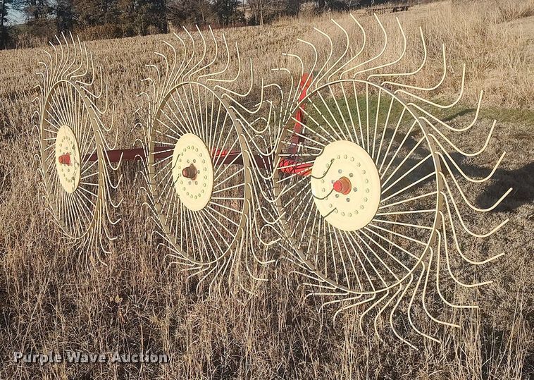 image for item LG9598 2015 Enrossi RP3 C  hay rake