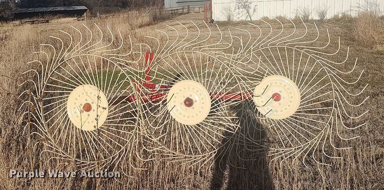 image for item LG9598 2015 Enrossi RP3 C  hay rake