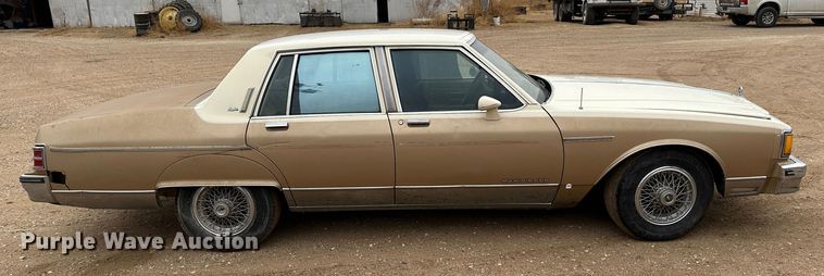 image for item LT9156 1985 Pontiac Parisienne