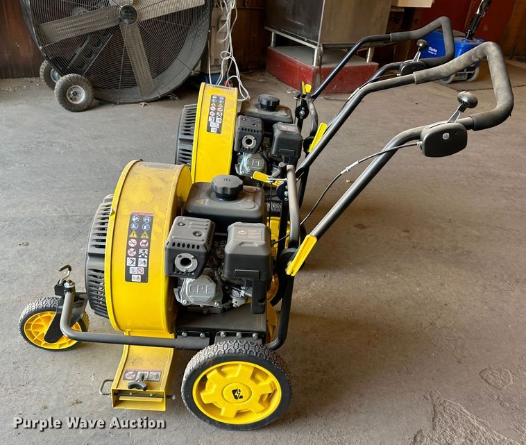 image for item LN9184 (2) Champion blowers