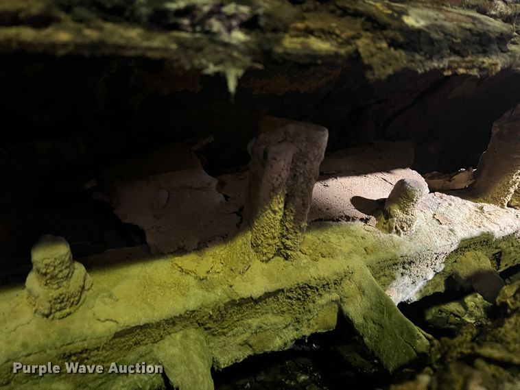 image for item DS2688 Pellet mill system