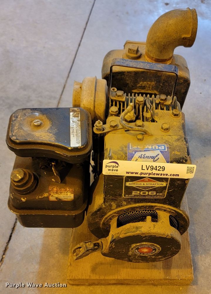 image for item LV9429 Briggs and Stratton  Pump