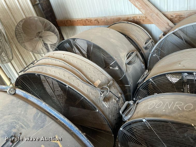 image for item MY9162 (23) fans