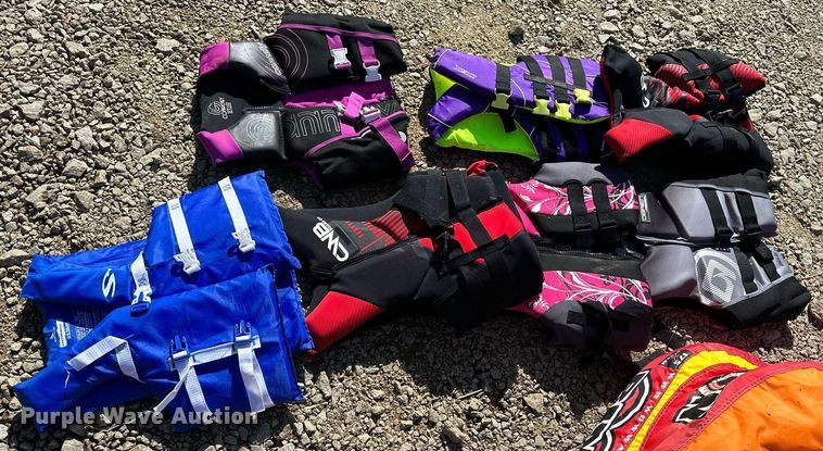 image for item LN9396 2015 Crownline B19  boat