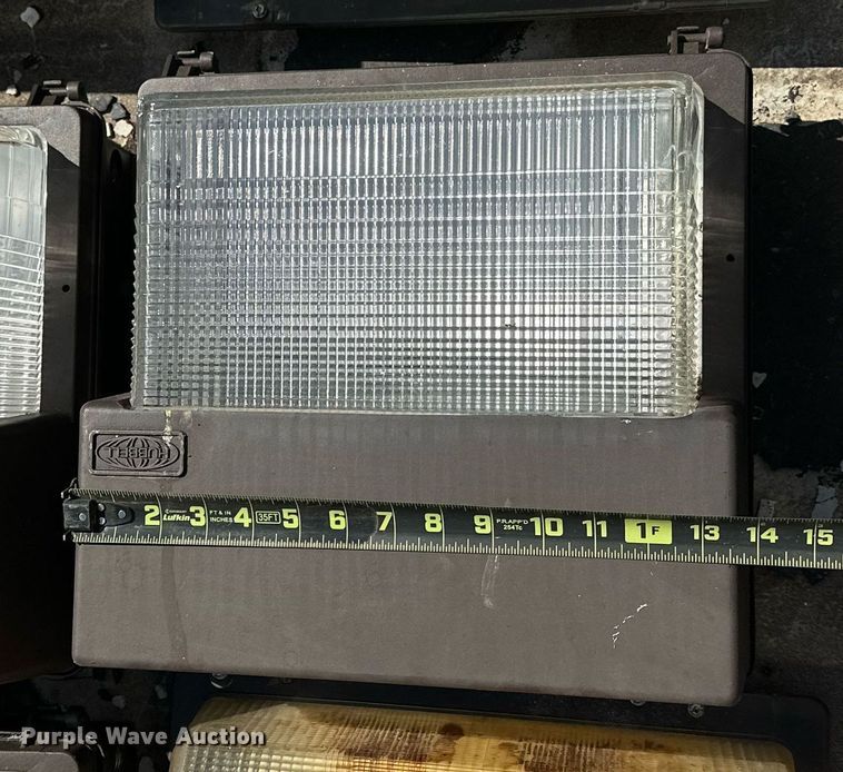 image for item LR9662 (12) lights