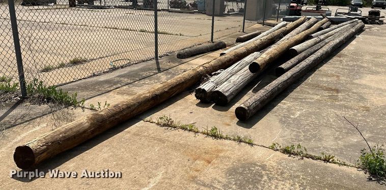 image for item LR9705 (10) telephone poles