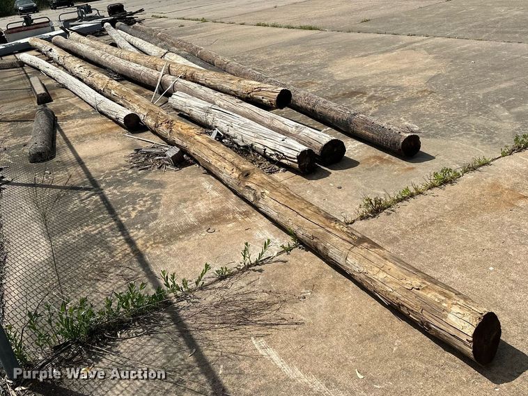 image for item LR9705 (10) telephone poles
