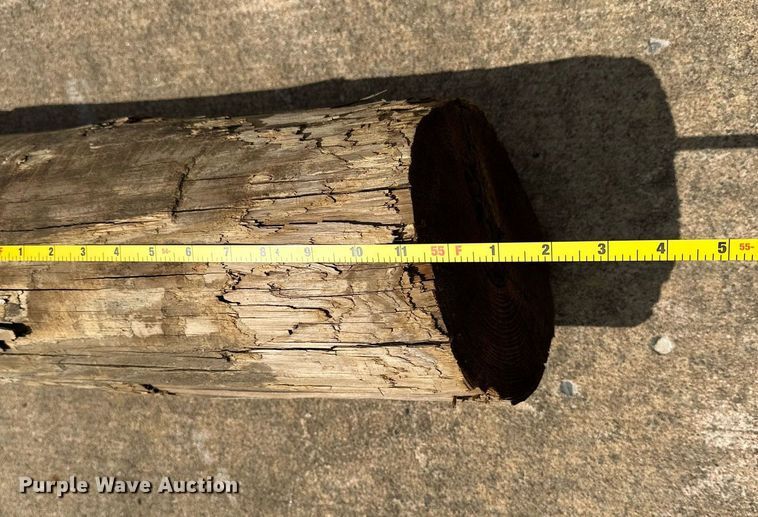 image for item LR9705 (10) telephone poles