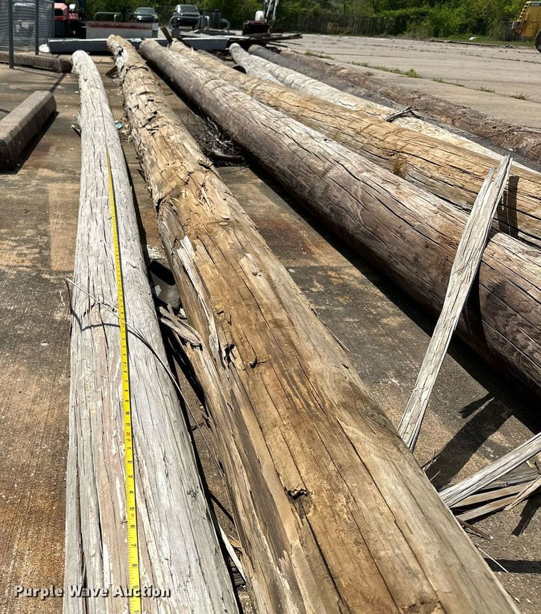 image for item LR9705 (10) telephone poles
