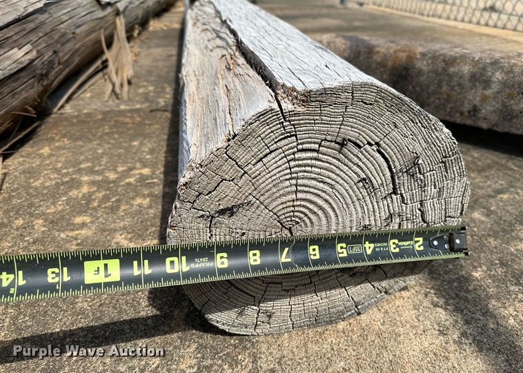 image for item LR9705 (10) telephone poles