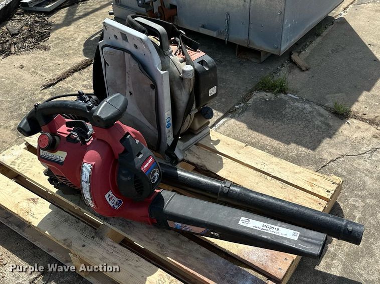 image for item MG9819 (2) leaf blowers