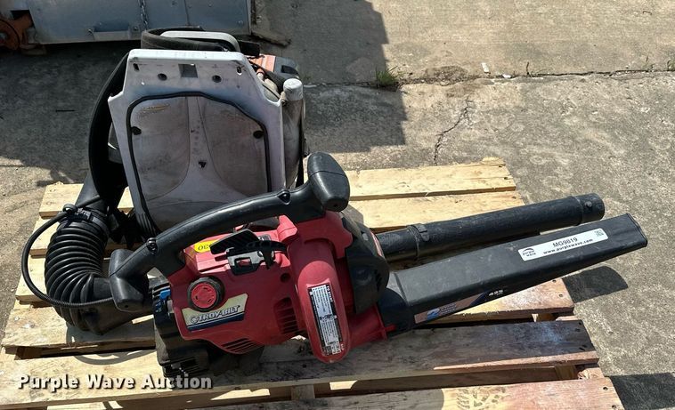 image for item MG9819 (2) leaf blowers