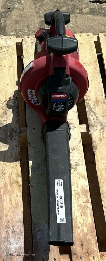 image for item MG9819 (2) leaf blowers