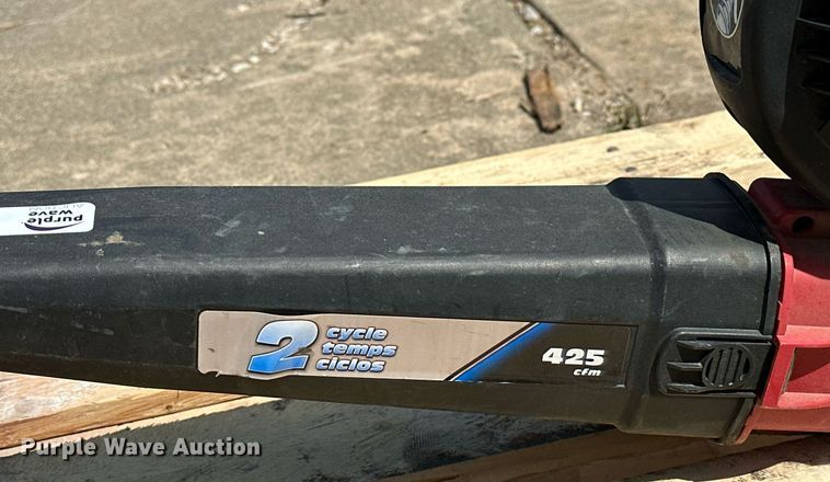 image for item MG9819 (2) leaf blowers