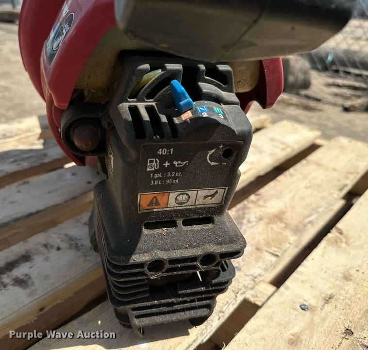 image for item MG9819 (2) leaf blowers