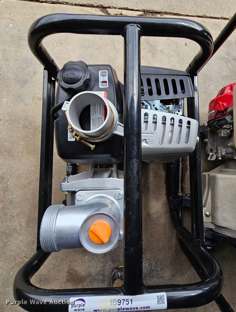 image for item IB9751 (2) pumps