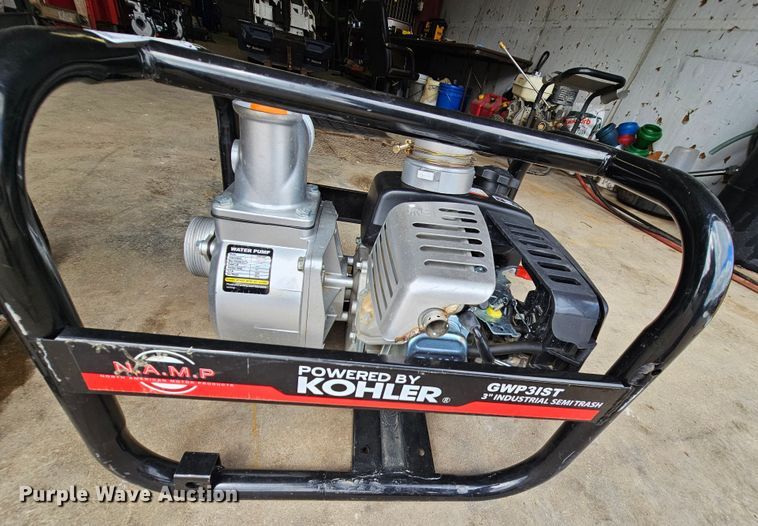 image for item IB9751 (2) pumps