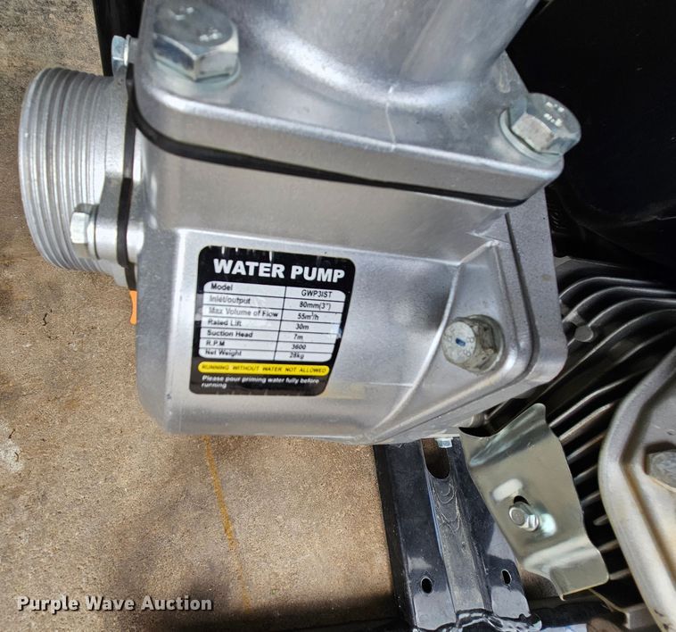 image for item IB9751 (2) pumps