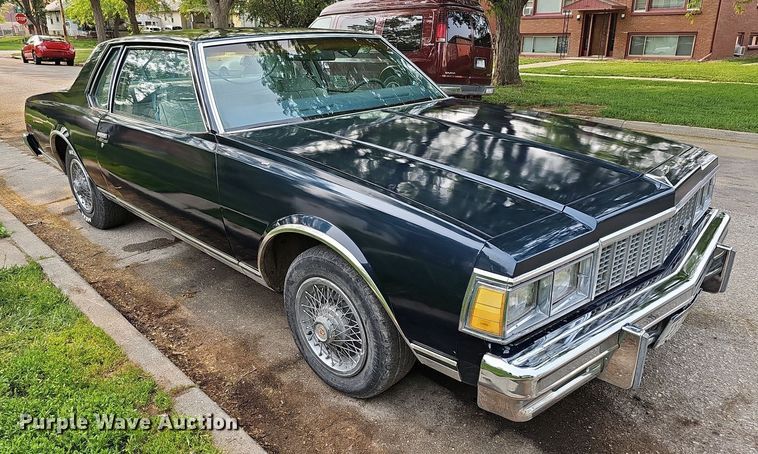 image for item DO4401 1979 Chevrolet Caprice Classic