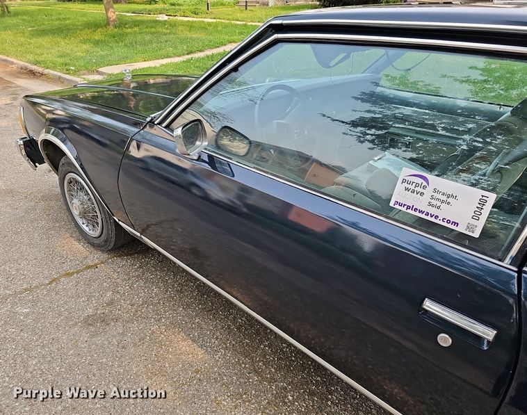 image for item DO4401 1979 Chevrolet Caprice Classic