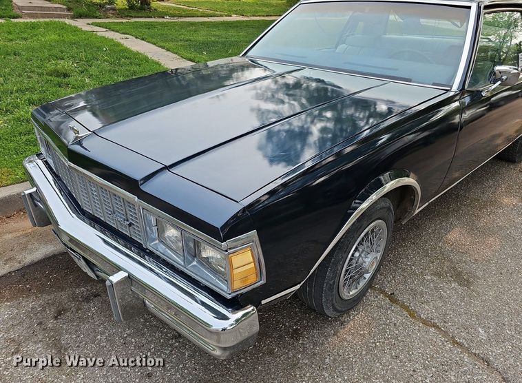 image for item DO4401 1979 Chevrolet Caprice Classic