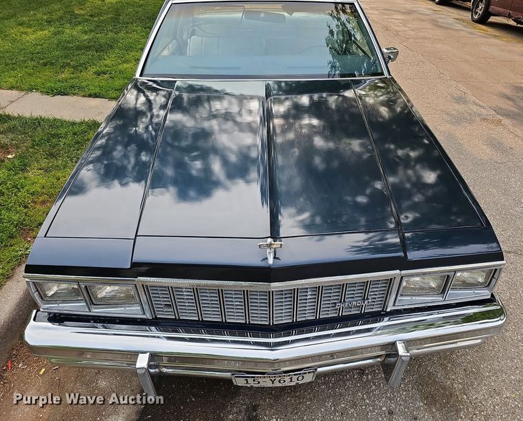 image for item DO4401 1979 Chevrolet Caprice Classic