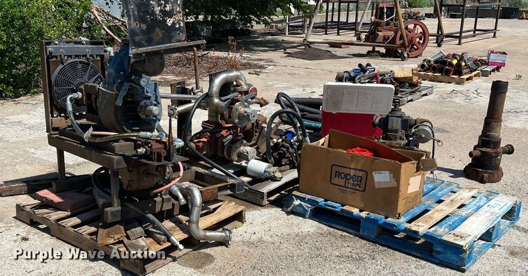 image for item DR5668 (2) pumps