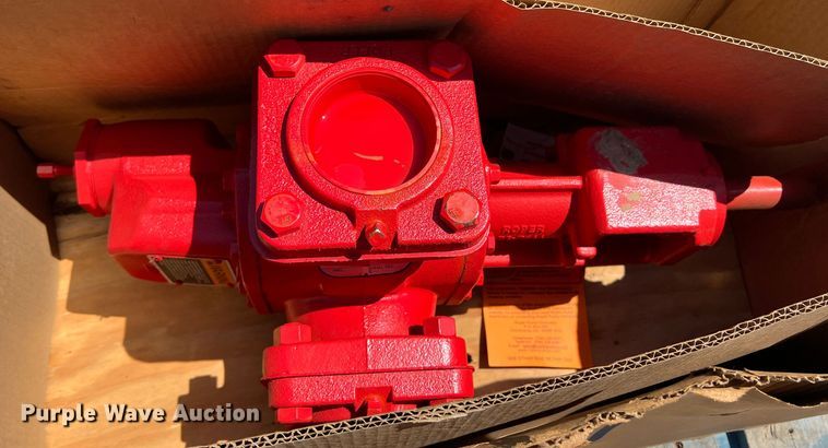 image for item DR5668 (2) pumps