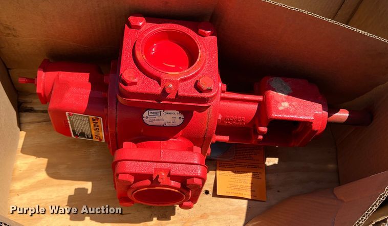 image for item DR5668 (2) pumps