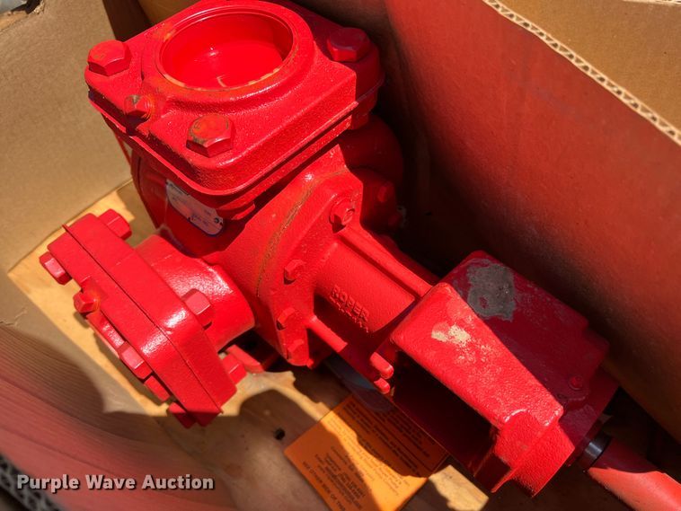 image for item DR5668 (2) pumps