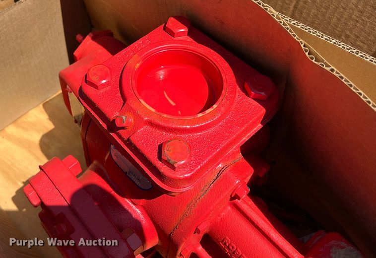 image for item DR5668 (2) pumps