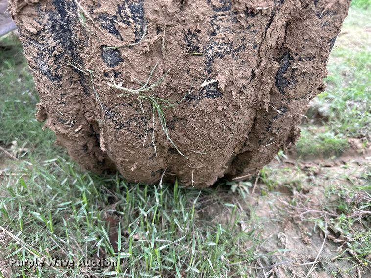 image for item KL9110 1979 Case 2590  tractor