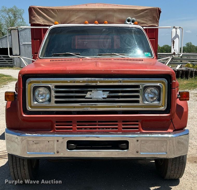 image for item LG9119 1975 Chevrolet C65  grain truck