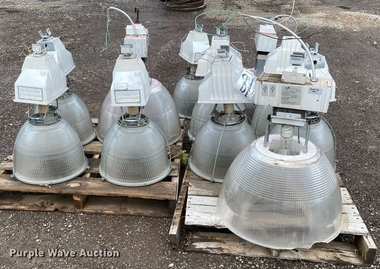 image for item DI7757 Approximately 10 lights