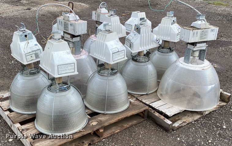 image for item DI7757 Approximately 10 lights