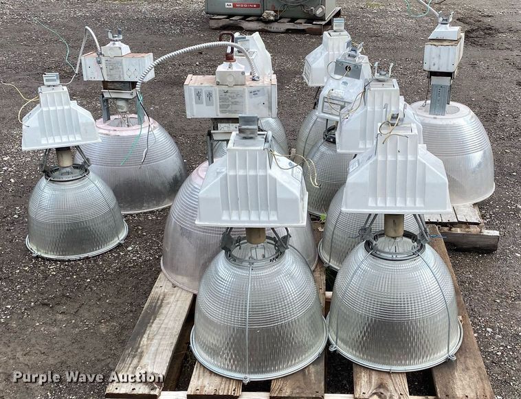 image for item DI7757 Approximately 10 lights