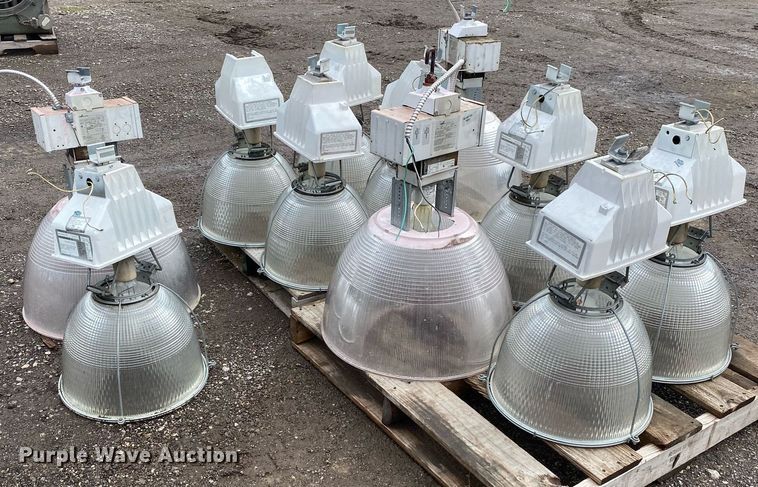 image for item DI7757 Approximately 10 lights