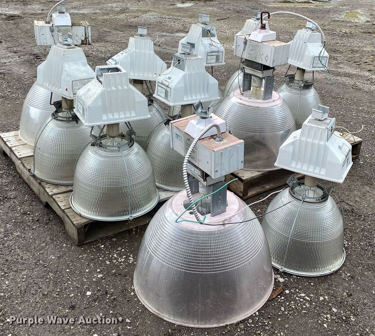 image for item DI7757 Approximately 10 lights