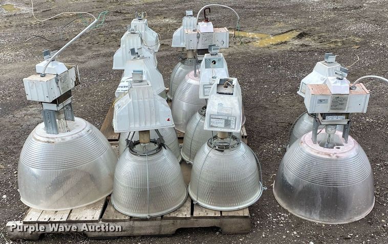 image for item DI7757 Approximately 10 lights