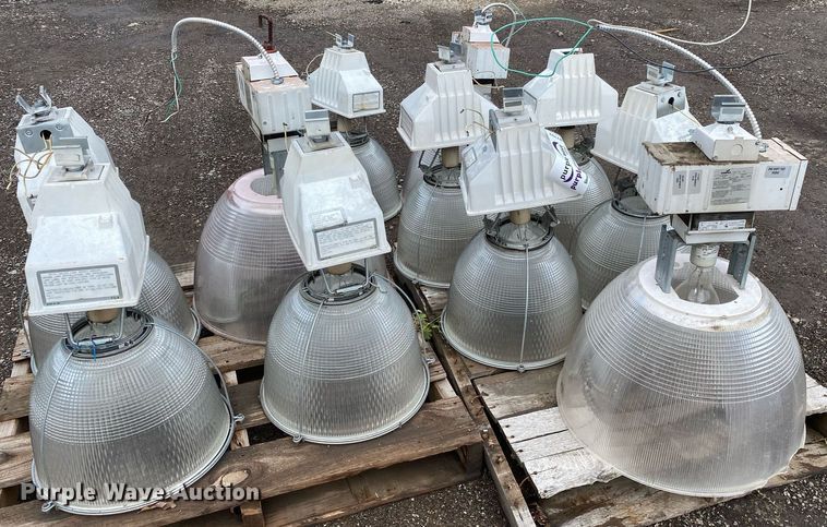 image for item DI7757 Approximately 10 lights