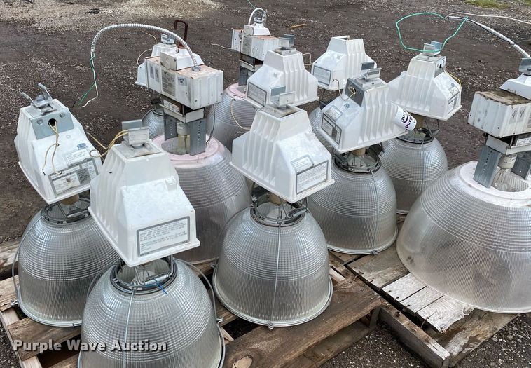 image for item DI7757 Approximately 10 lights