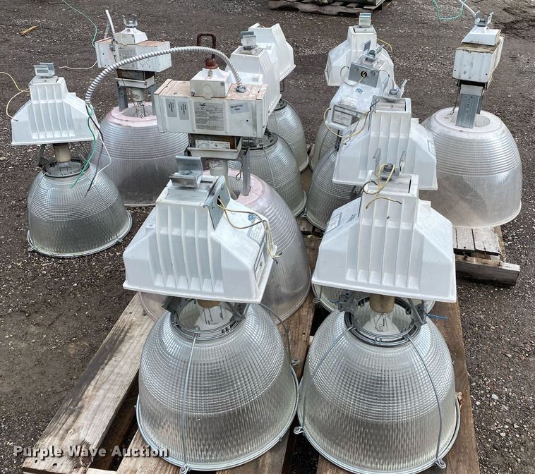 image for item DI7757 Approximately 10 lights