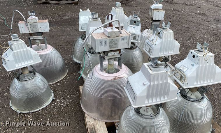 image for item DI7757 Approximately 10 lights