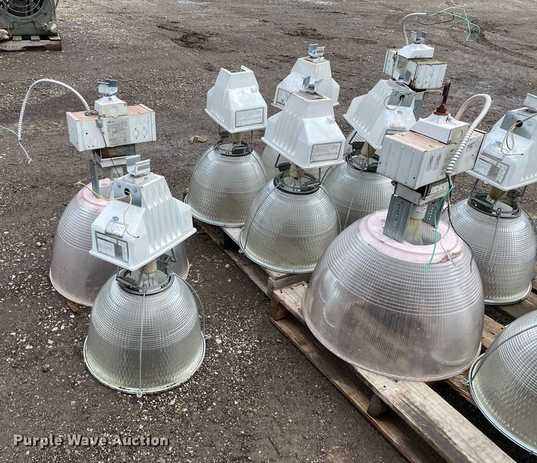 image for item DI7757 Approximately 10 lights